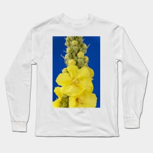 Verbascum × hybridum  &#39;Banana Custard&#39;  Mullein Long Sleeve T-Shirt